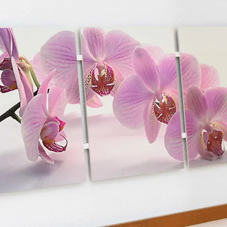 Apartamento Wellenrauschen Bensersiel